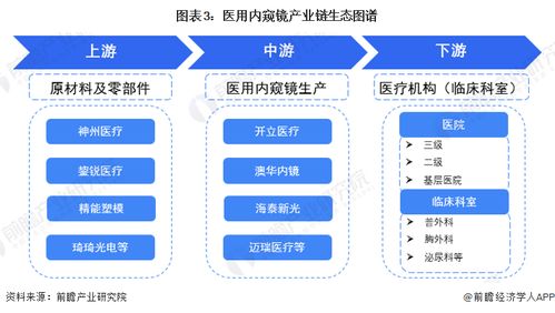 預見2023 中國醫用內窺鏡行業全景圖譜與AI應用軟件開發新篇章